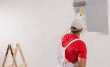 Get wall painted  in your House same day 