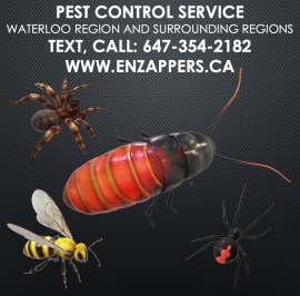 enzappers.ca Pest Control Service Hamilton Ontario