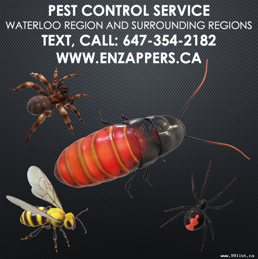 enzappers.ca Pest Control Service Hamilton Ontario