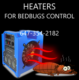 Hamilton Pest Control Service. 647-354-2182