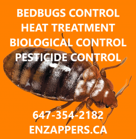 bedbugs control in Hamilton Ontario