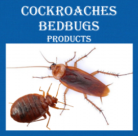 COCKROACHES CONTROL SERVICE HAMILTON 647-354-2182