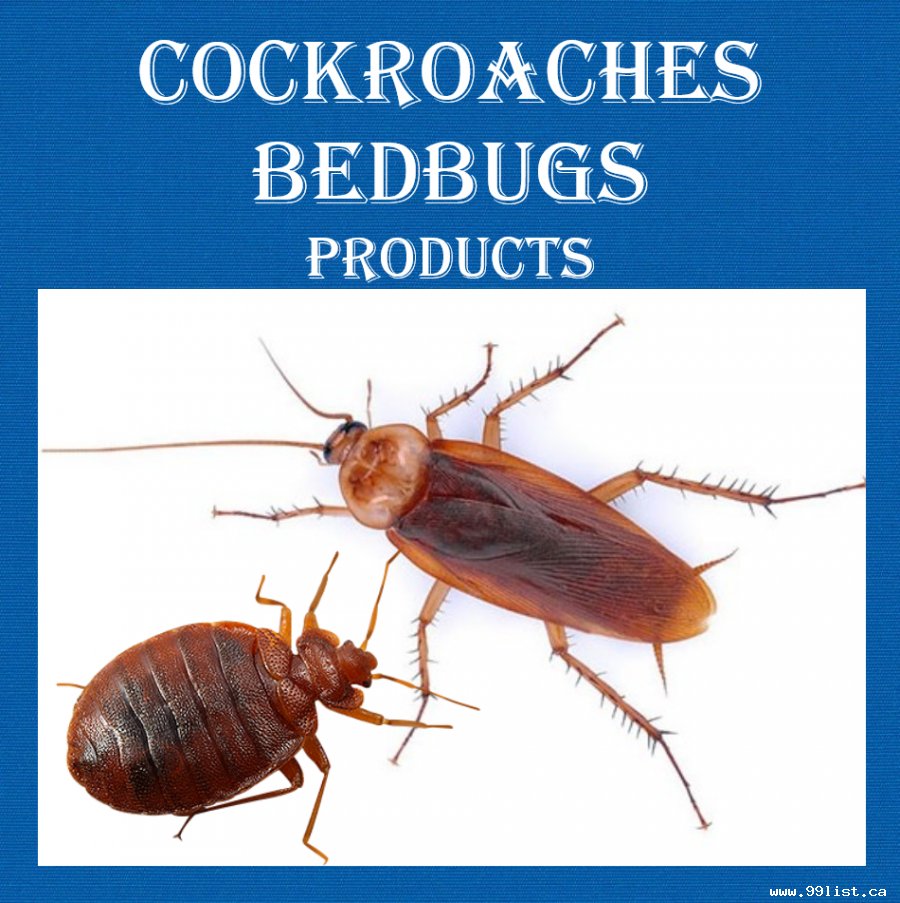 COCKROACHES CONTROL SERVICE HAMILTON 647-354-2182