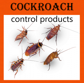 COCKROACHES CONTROL SERVICE HAMILTON 647-354-2182