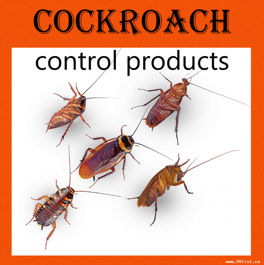 COCKROACHES CONTROL SERVICE HAMILTON 647-354-2182