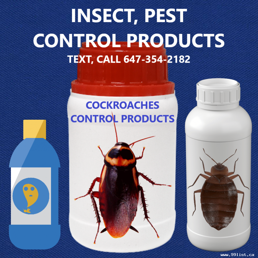 PEST CONTROL SERVICES LONDON. TEXT: 647-354-2182