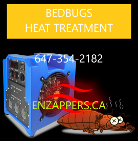 bedbug heat treatment Hamilton. text 647-354-2182