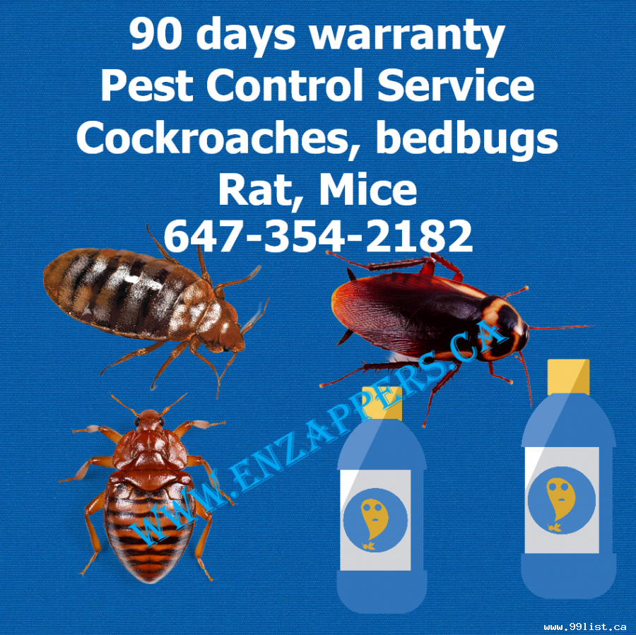 LONDON ONTARIO PEST CONTROL 647-354-2182