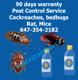 LONDON ONTARIO PEST CONTROL 647-354-2182