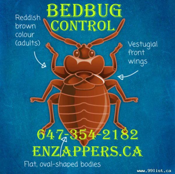 BEDBUGS CONTROL MADE EASY. CALL 647-354-2182