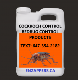 insect, bugs, pest control service Kitchener