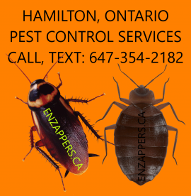 Hamilton Ontario Pest Control Service 647-354-2182