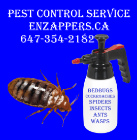 PEST CONTROL SERVICE KITCHENER, CALL 647-354-2182