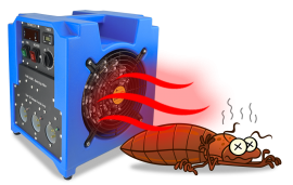 PEST CONTROL SERVICE KITCHENER, CALL 647-354-2182