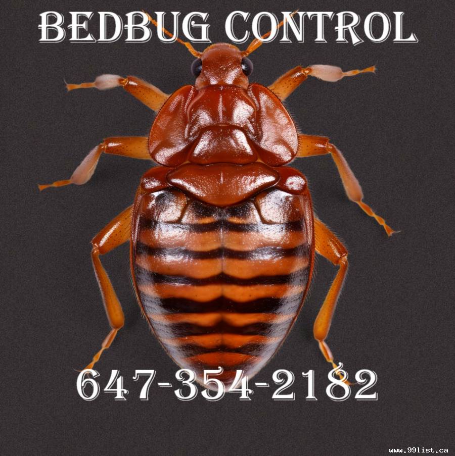 BEDBUG CONTROL WITH HEATERS, CALL: 647-354-2182