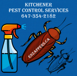 PEST CONTROL SERVICE KITCHENER. CALL: 647-354-2182