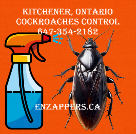 KITCHENER COCKROACHES CONTROL. CALL: 647-354-2182