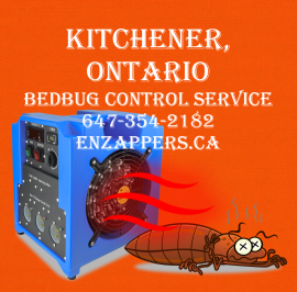 BEDBUG CONTROL, KITCHENER. CALL: 647-354-2182