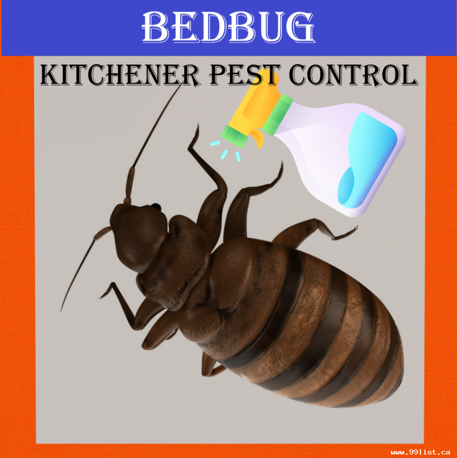 KITCHENER PEST CONTROL. CALL: 647-354-2182
