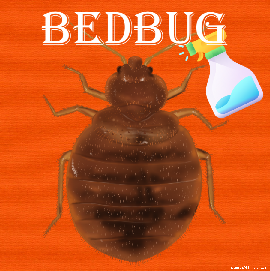 bedbugs control service Kitchener: 647-354-2182