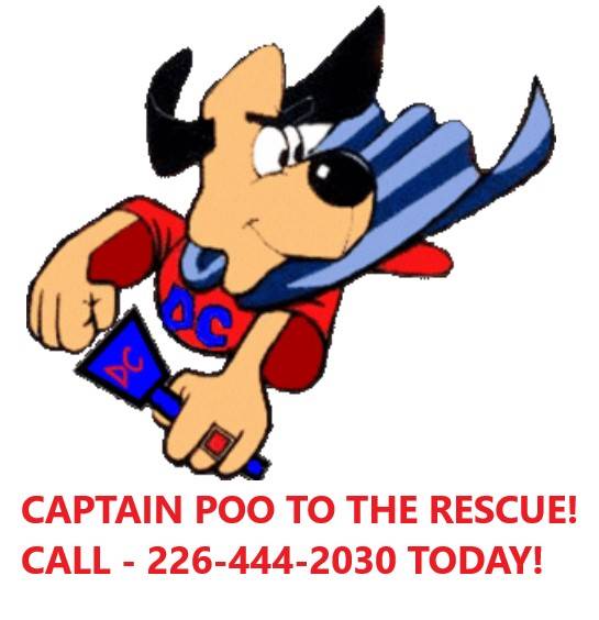 DOG POO, POOP, WASTE, YARD SPRING CLEAN UP