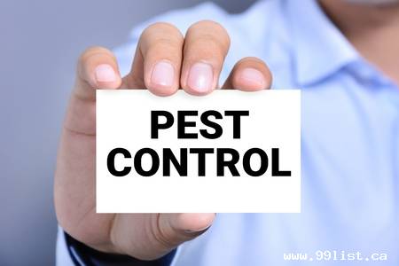 Pest Control Service Kitchener Waterloo, Ontario