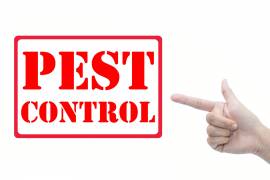 Pest Control Service Kitchener Waterloo, Ontario