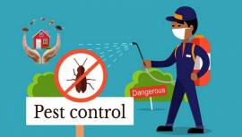 CAMBRIDGE ONTARIO PEST CONTROL SERVICE