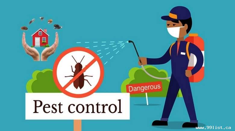 CAMBRIDGE ONTARIO PEST CONTROL SERVICE