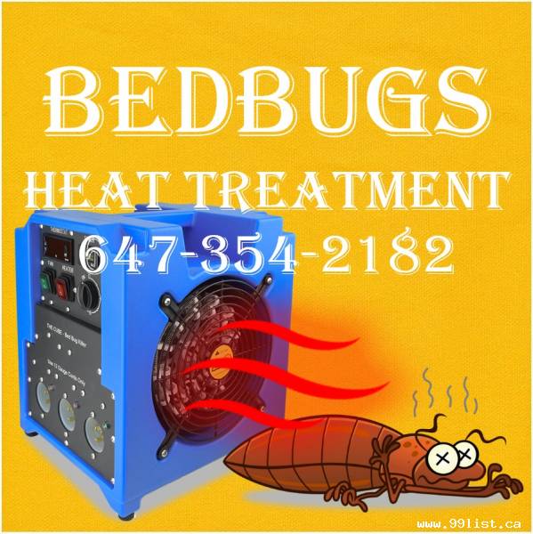 Kitchener Bedbugs Control Service 647-354-2182