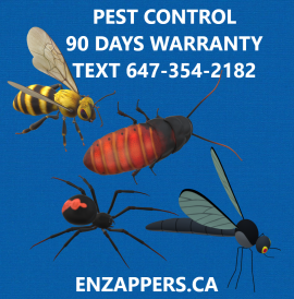 London Cockroaches Control Treatments 647-354-2182