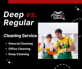 Comprehensive Cleaning Services in Edmonton