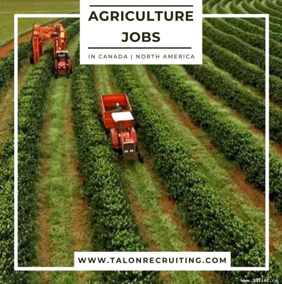 Agriculture Job In Canada | North America