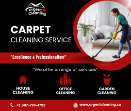 Top-Rated Carpet Cleaning Services in Edmonton