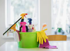Trusted and experienced Cleaning Lady