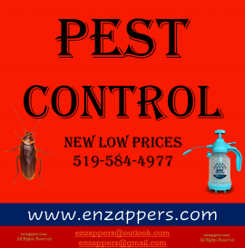 Hamilton Pest Control by enzappers.ca