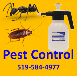 Oakville Pest Control Services by enzappers.ca