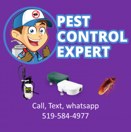 Burlington Pest Control Services by enzappers.ca