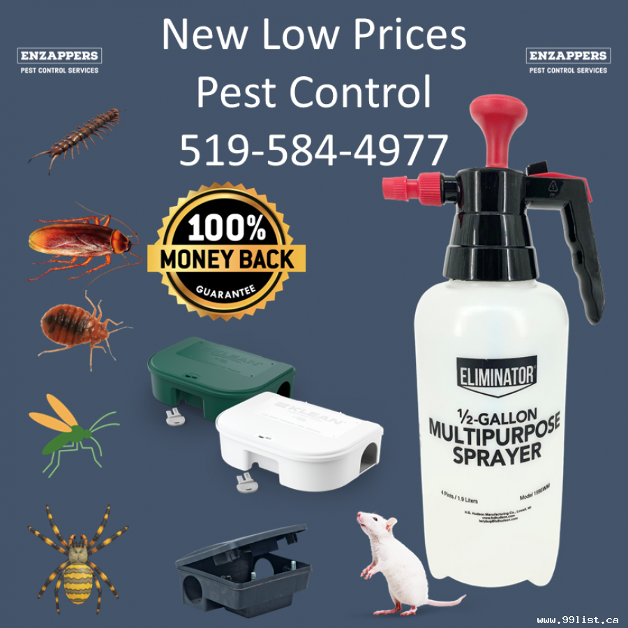 Waterloo Pest Control Services by enzappers.ca