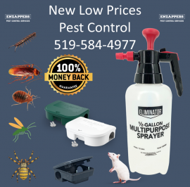 Waterloo Pest Control Services by enzappers.ca