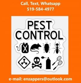 Woodstock Pest Control Services by enzappers.ca