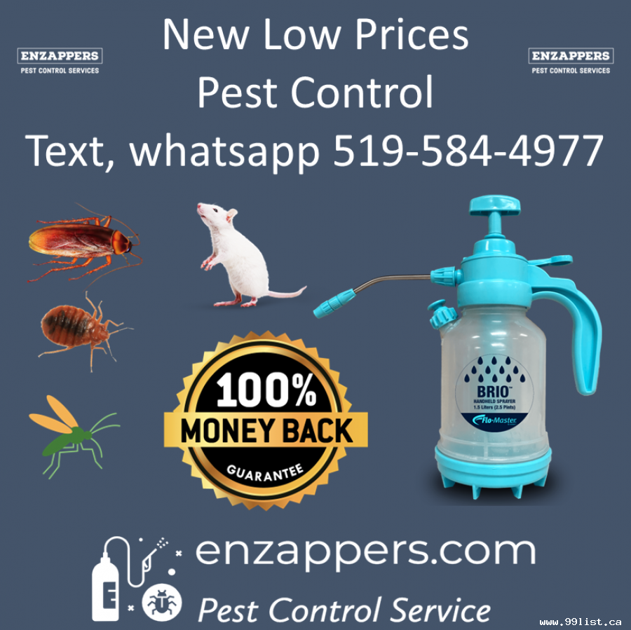 London Pest Control Services by enzappers.ca