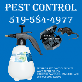 Kitchener Pest Control Services by enzappers.ca