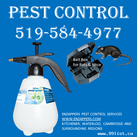 Kitchener Pest Control Services by enzappers.ca