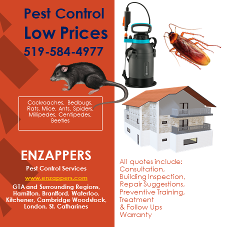 Brampton Pest Control by enzappers.ca