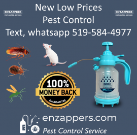 Milton Pest Control by enzappers.ca