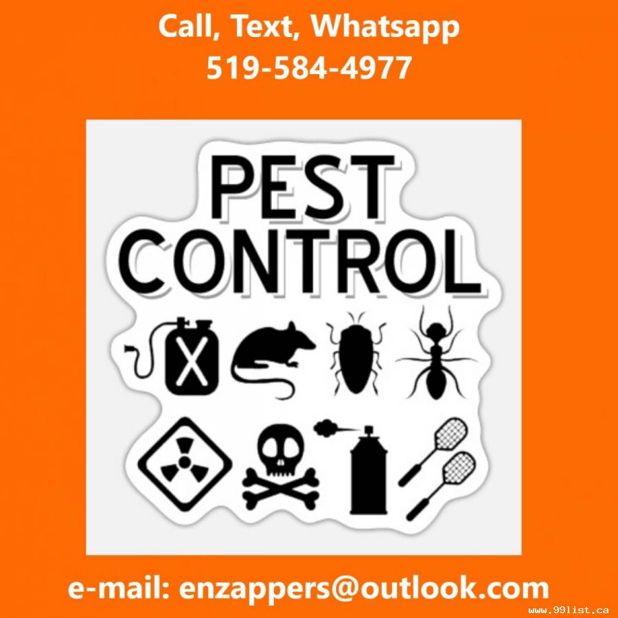 Brantford Pest Control Services by enzappers.ca