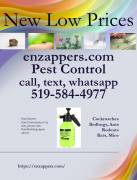 Hamilton Cockroaches bedbugs Rats Mice Control