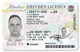Obtain Canadian Drivers License Online
