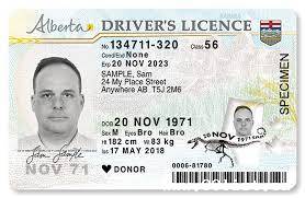 Obtain Canadian Drivers License Online
